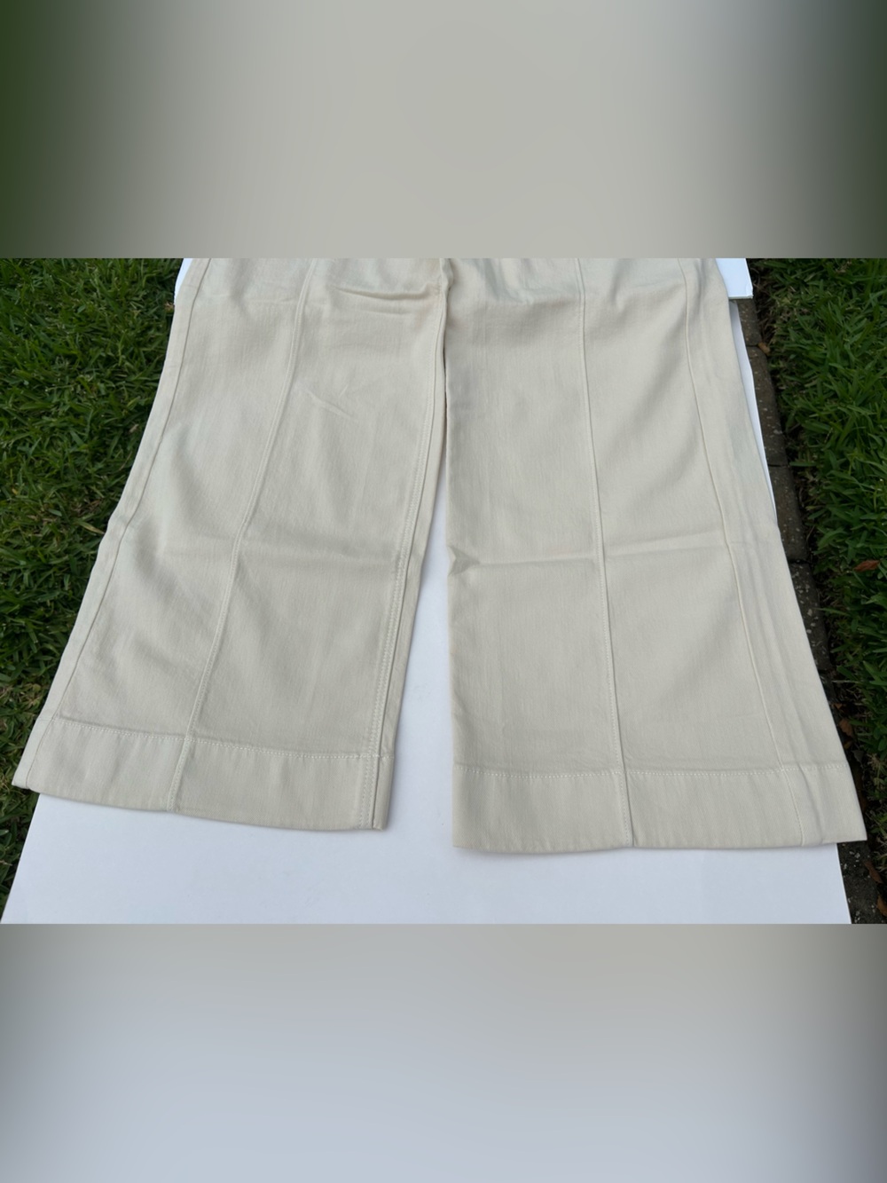 NWT🌷American Eagle Outfitters Low-Rise Baggy Wide Leg Pants in Cream/ Ecru - Picture 4 of 8